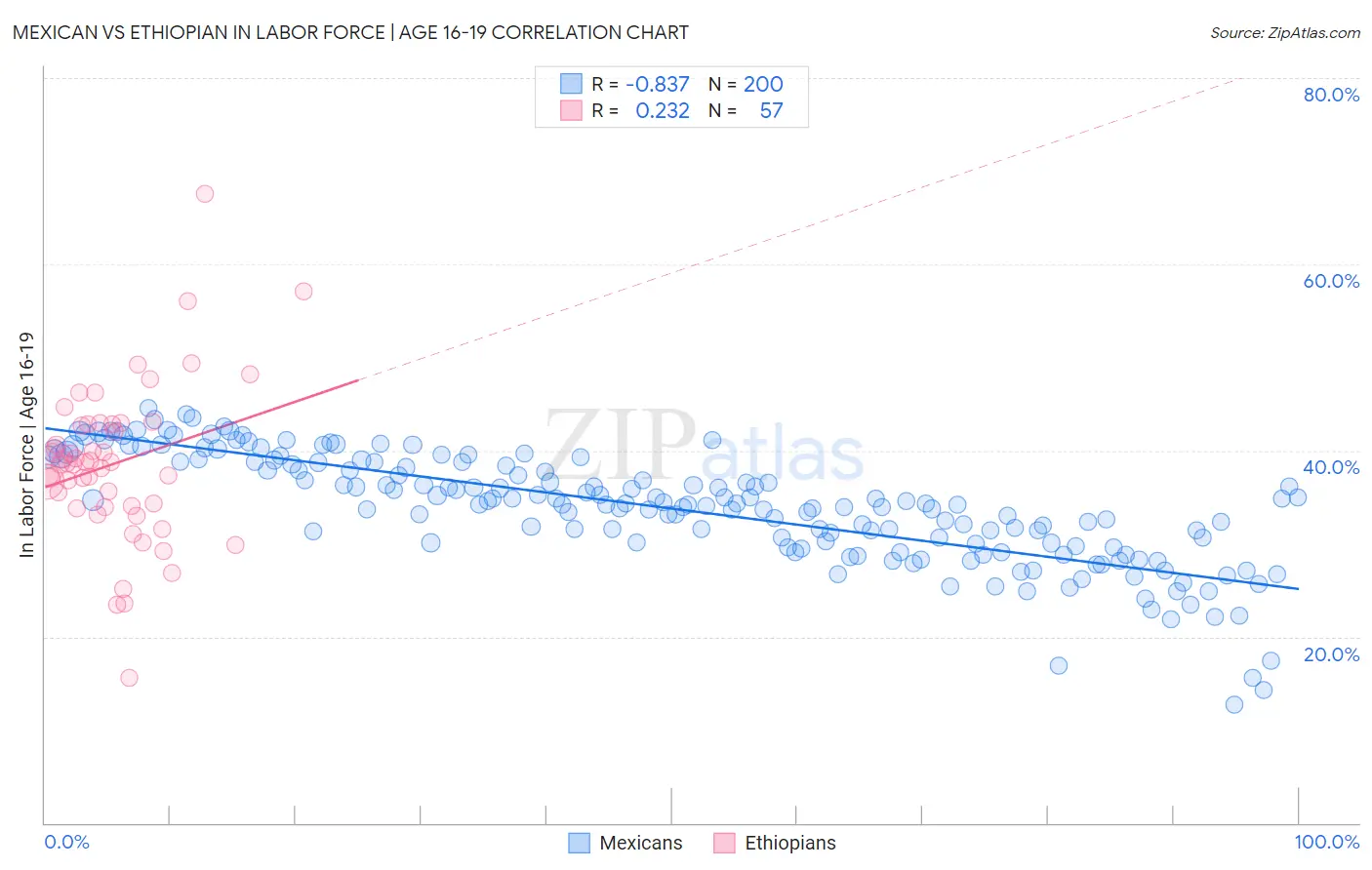 Mexican vs Ethiopian In Labor Force | Age 16-19