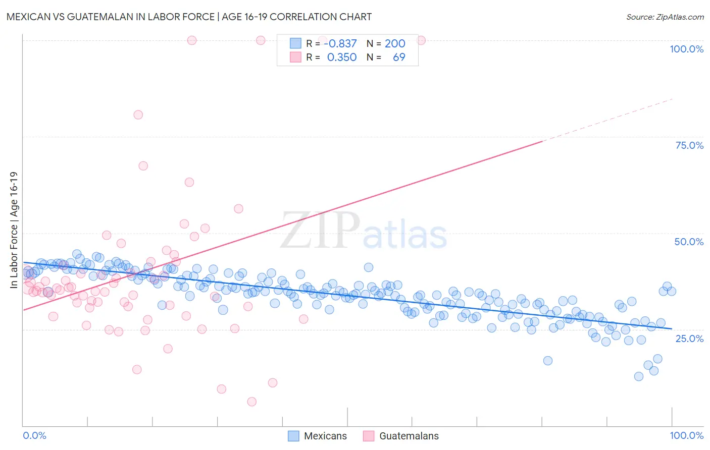 Mexican vs Guatemalan In Labor Force | Age 16-19