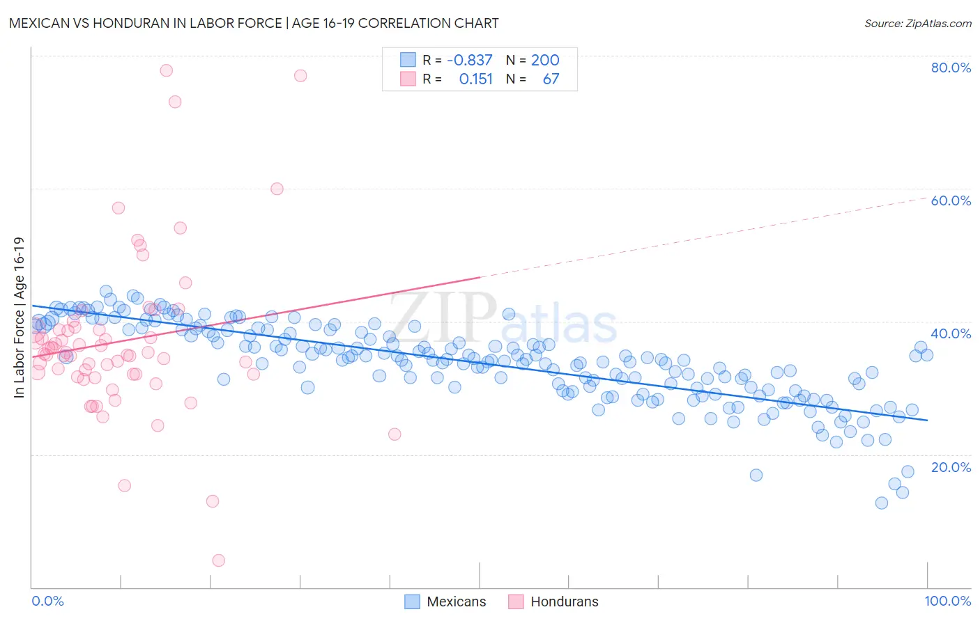 Mexican vs Honduran In Labor Force | Age 16-19