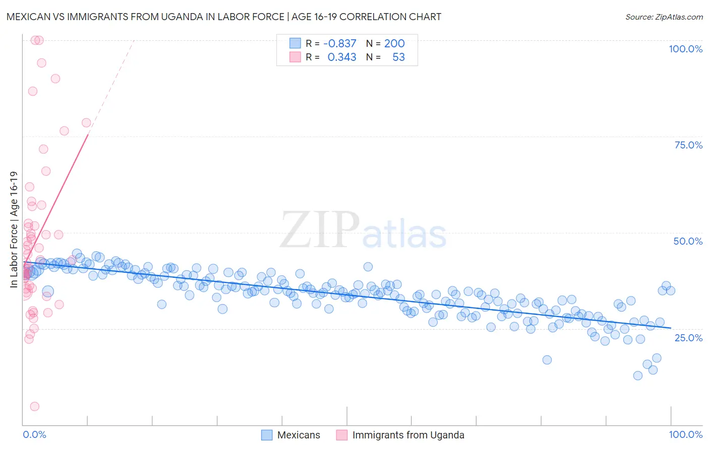 Mexican vs Immigrants from Uganda In Labor Force | Age 16-19