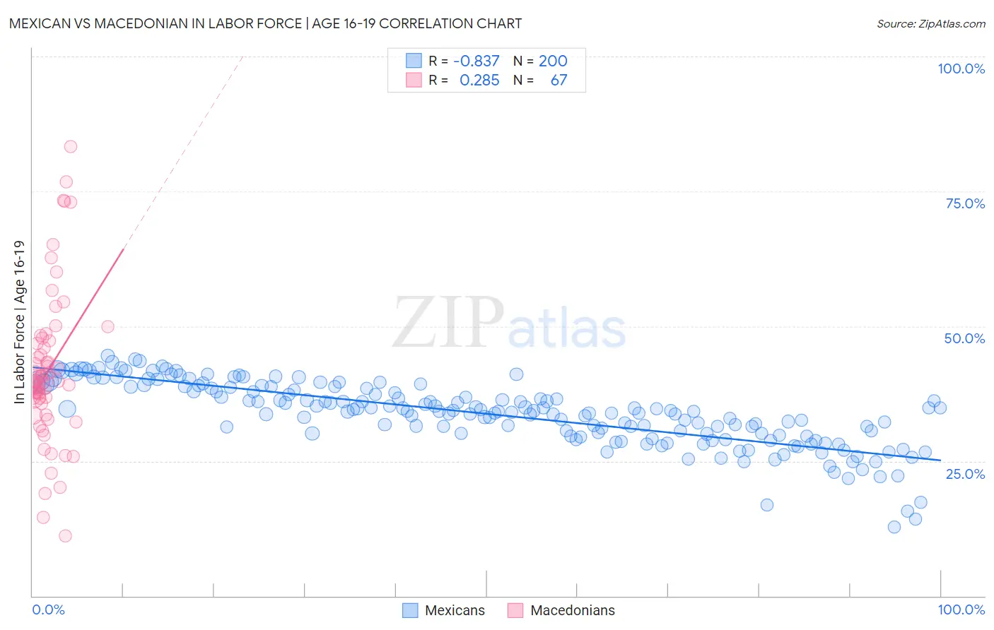 Mexican vs Macedonian In Labor Force | Age 16-19
