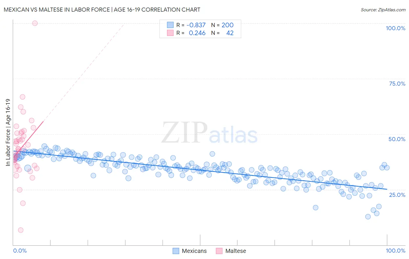 Mexican vs Maltese In Labor Force | Age 16-19