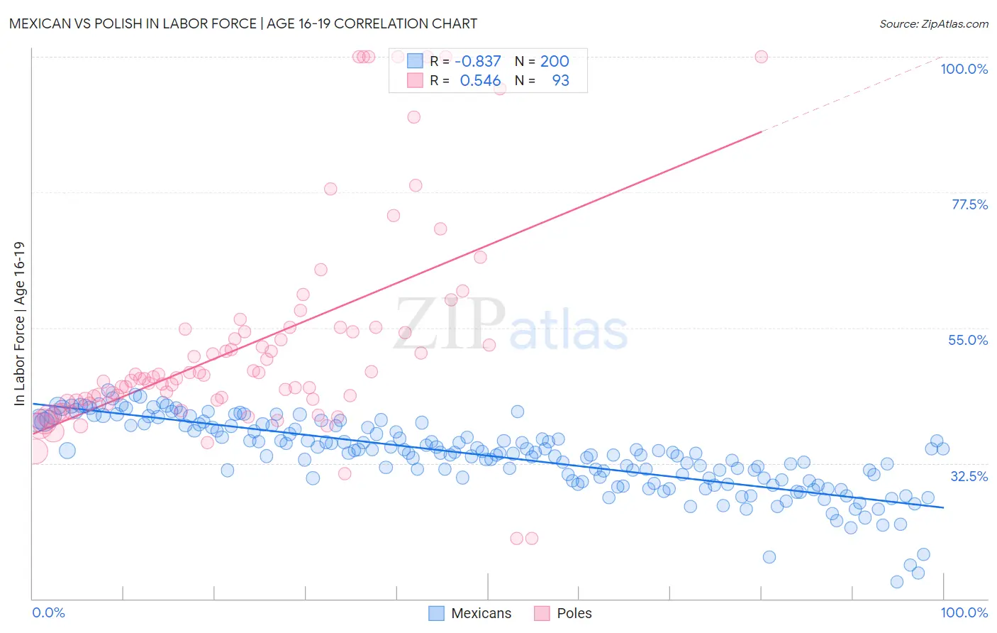 Mexican vs Polish In Labor Force | Age 16-19