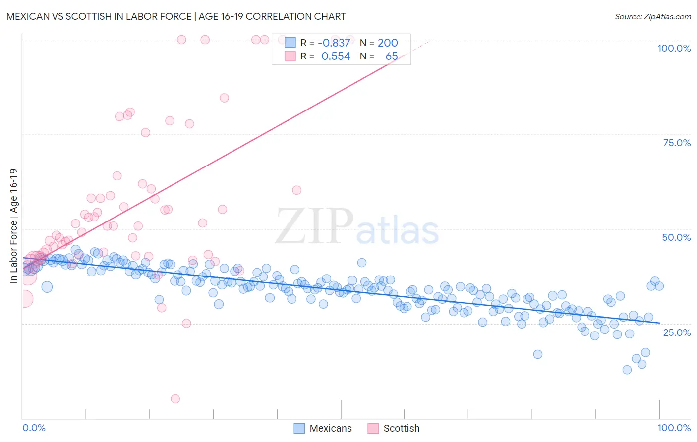 Mexican vs Scottish In Labor Force | Age 16-19