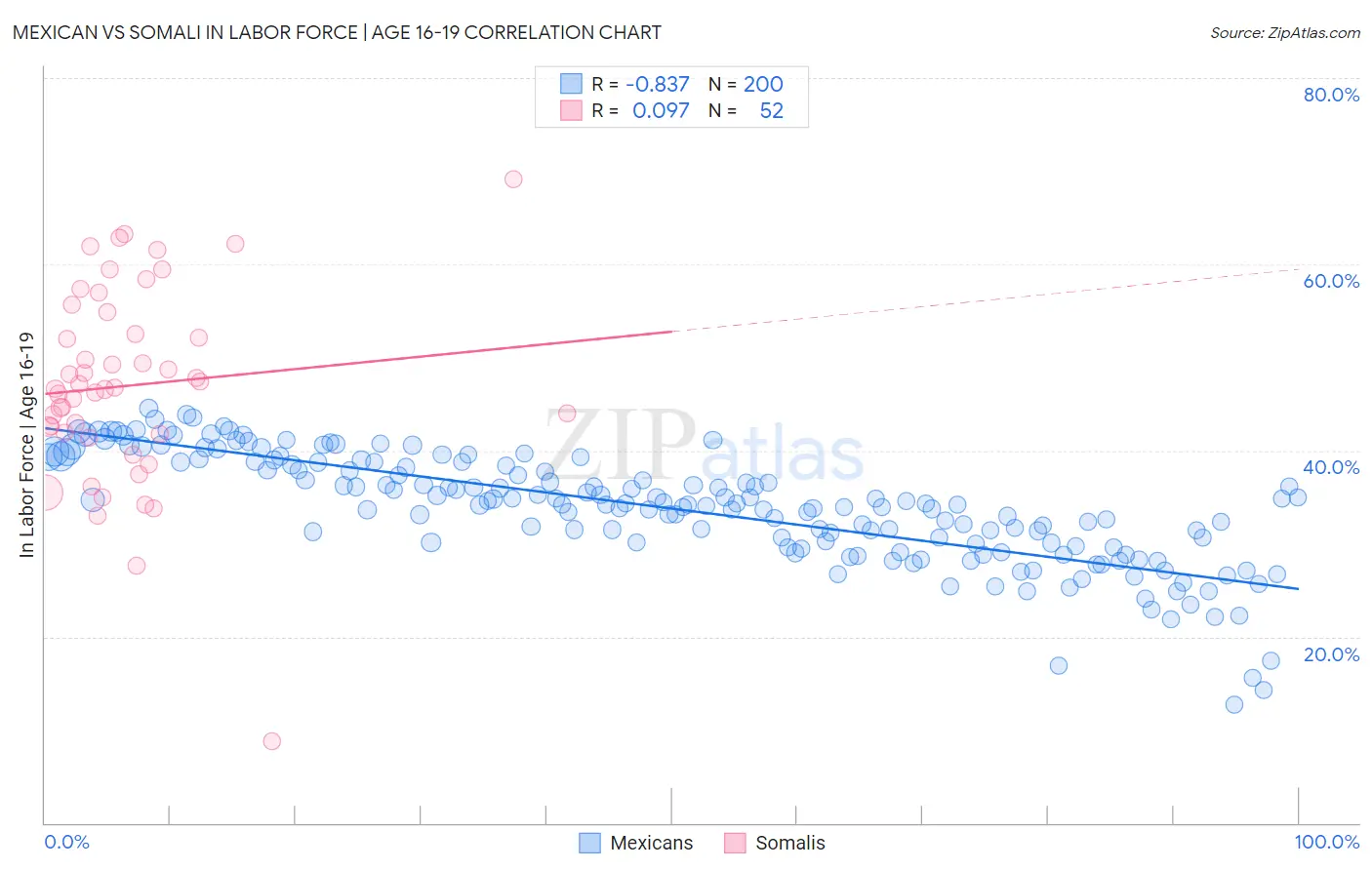 Mexican vs Somali In Labor Force | Age 16-19