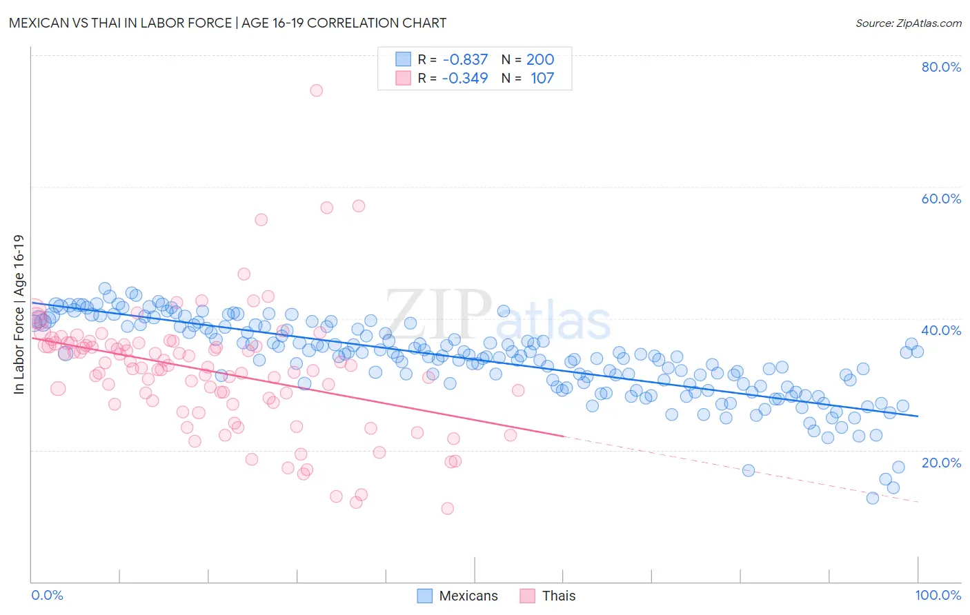 Mexican vs Thai In Labor Force | Age 16-19