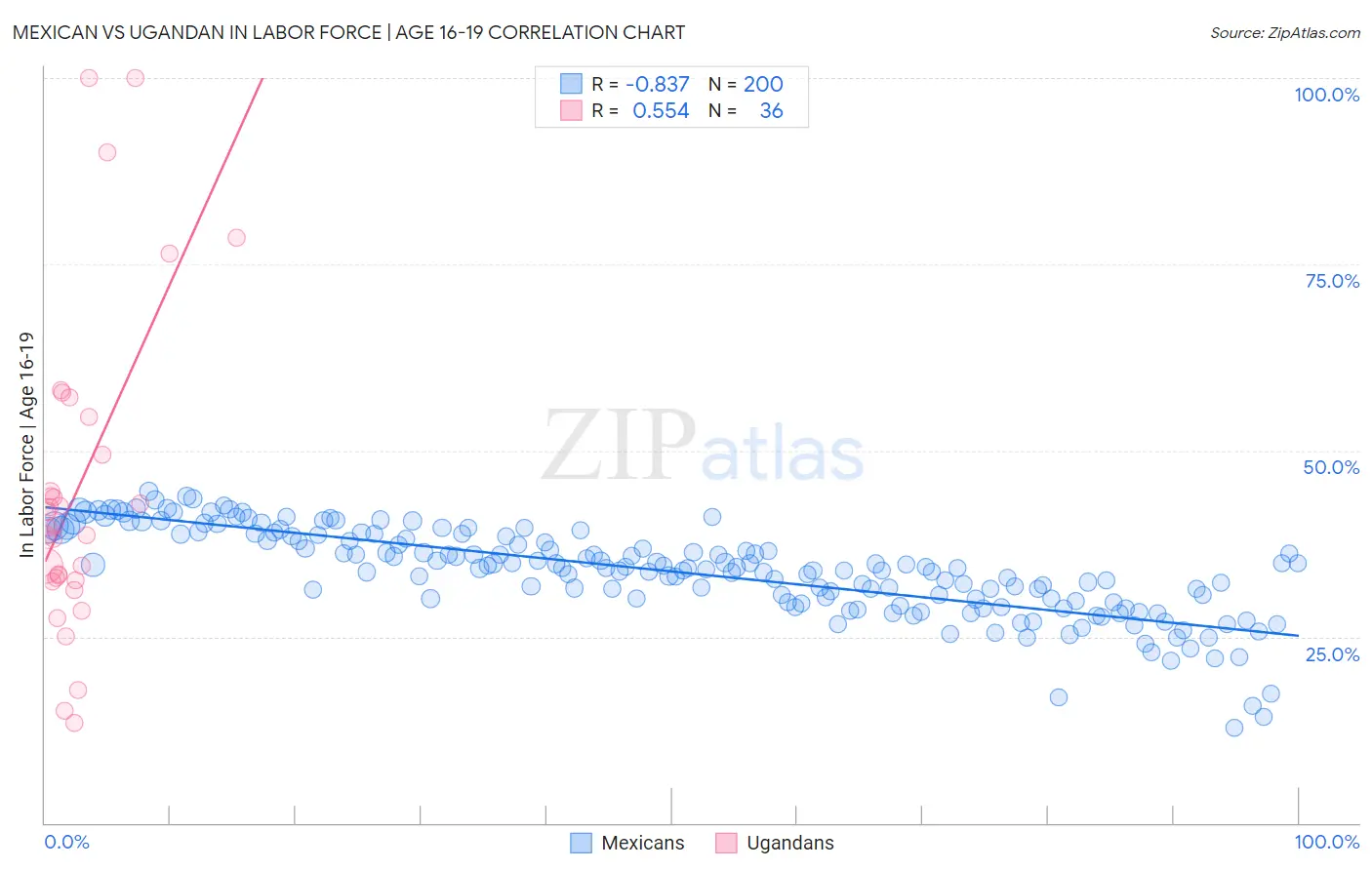 Mexican vs Ugandan In Labor Force | Age 16-19