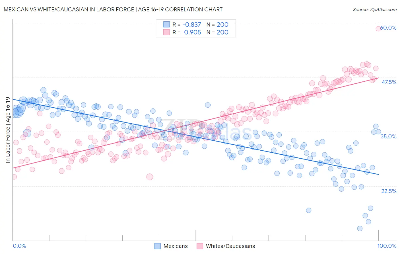 Mexican vs White/Caucasian In Labor Force | Age 16-19