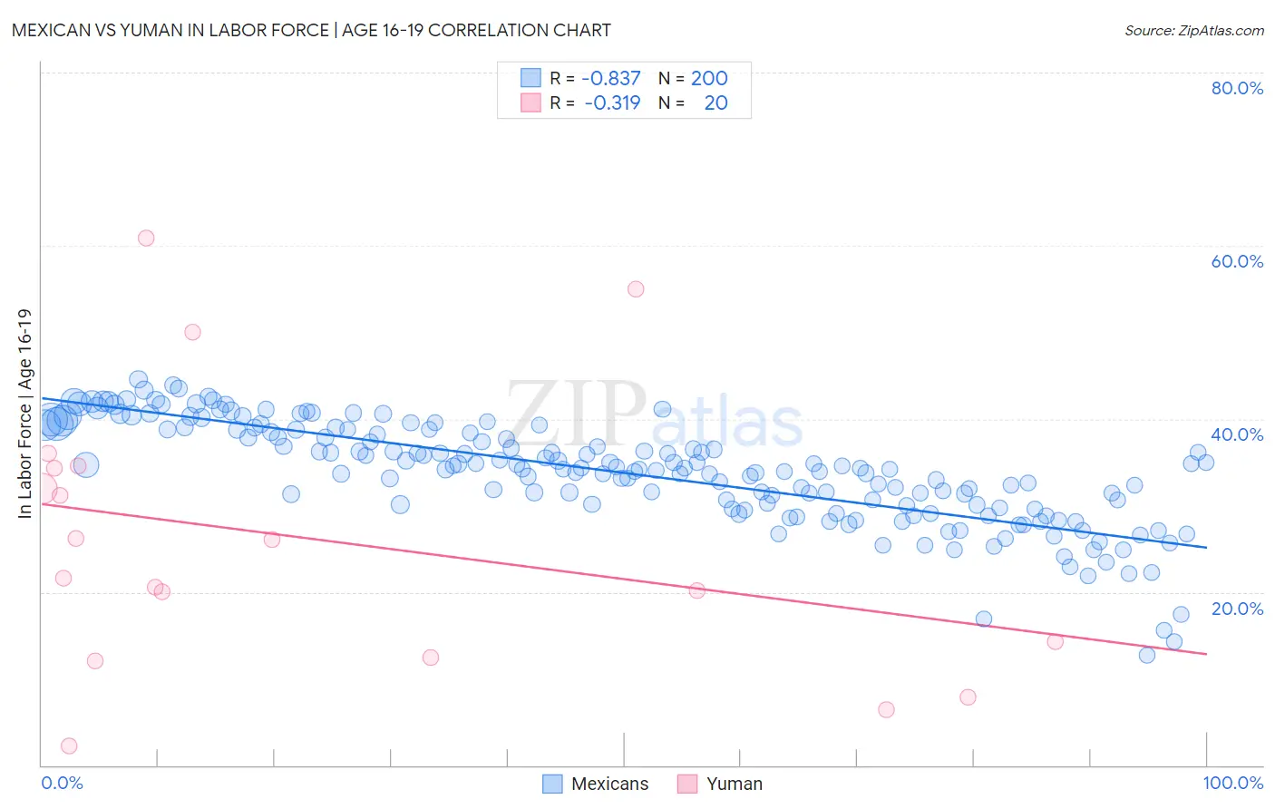 Mexican vs Yuman In Labor Force | Age 16-19