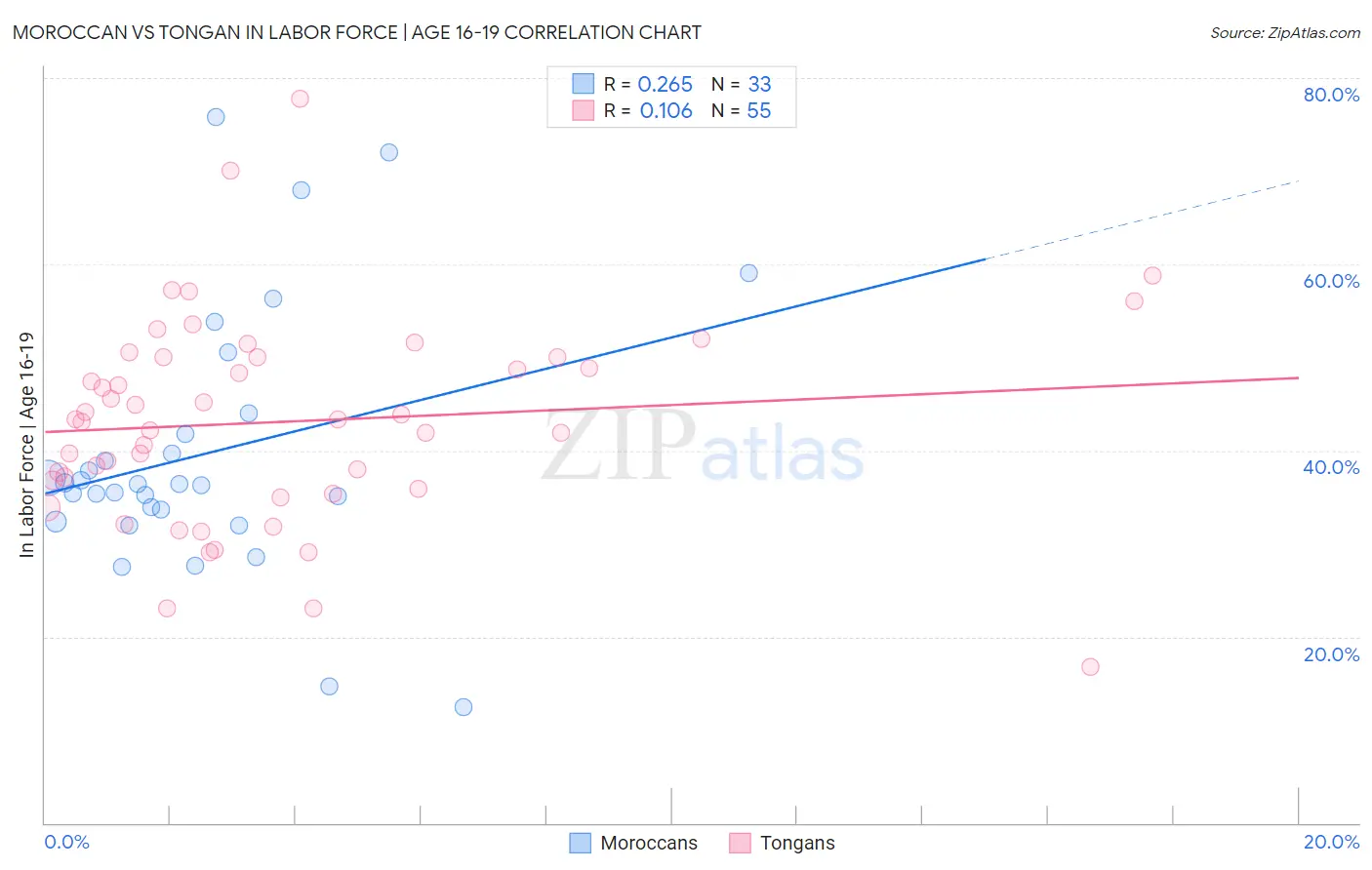 Moroccan vs Tongan In Labor Force | Age 16-19