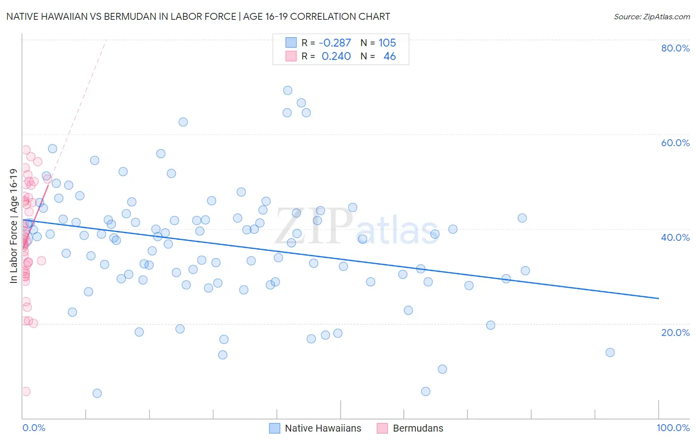 Native Hawaiian vs Bermudan In Labor Force | Age 16-19