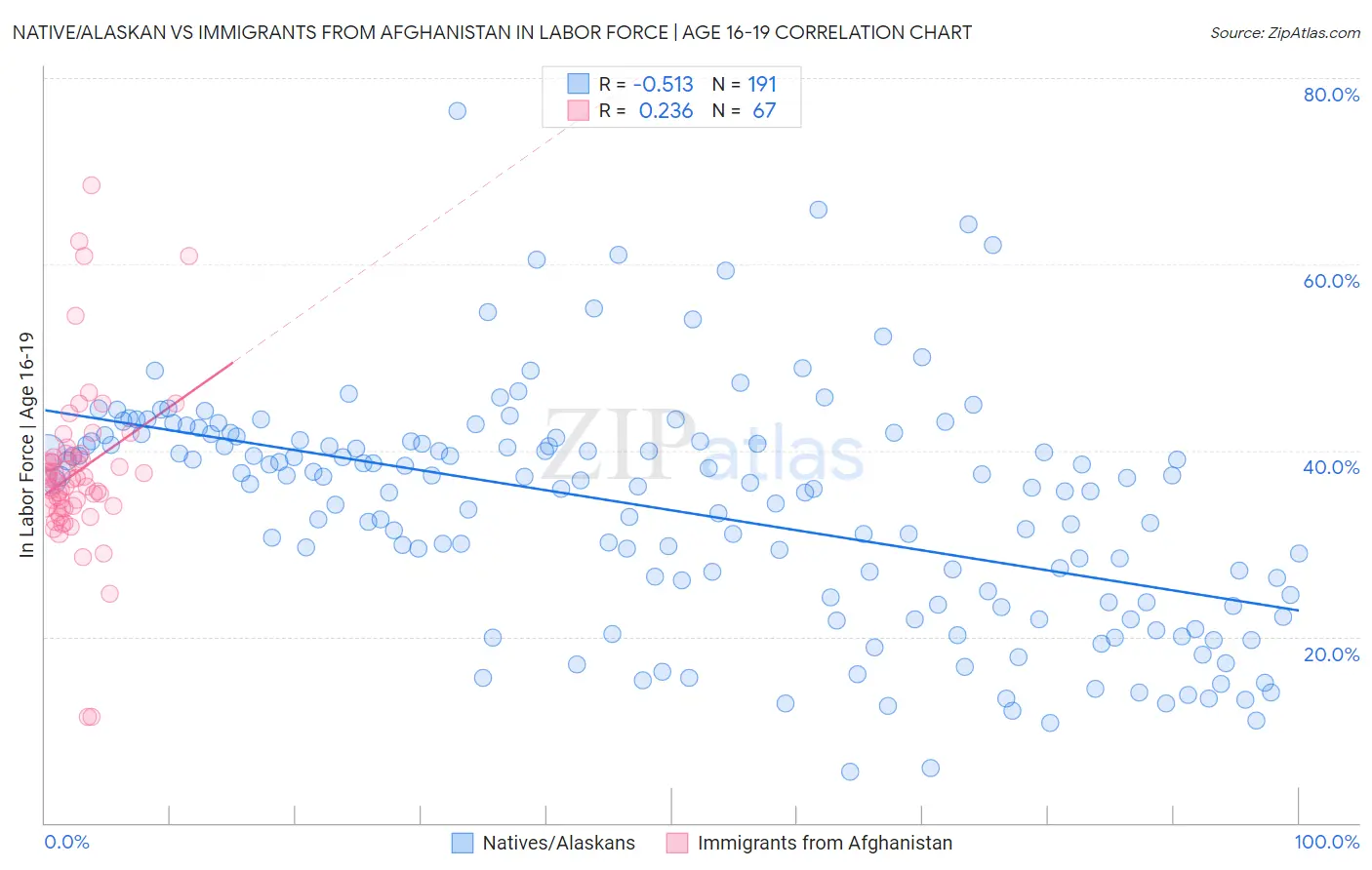 Native/Alaskan vs Immigrants from Afghanistan In Labor Force | Age 16-19
