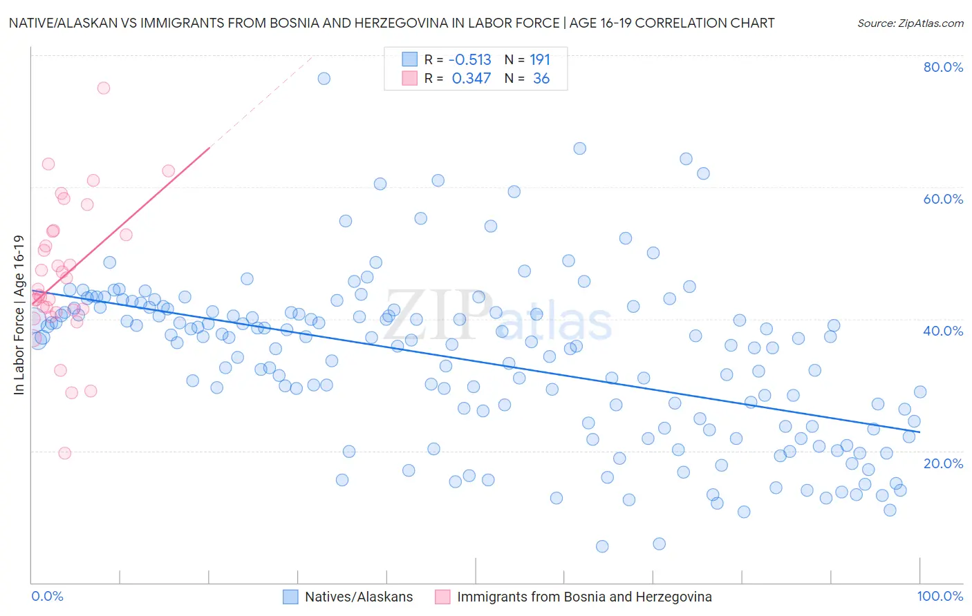 Native/Alaskan vs Immigrants from Bosnia and Herzegovina In Labor Force | Age 16-19