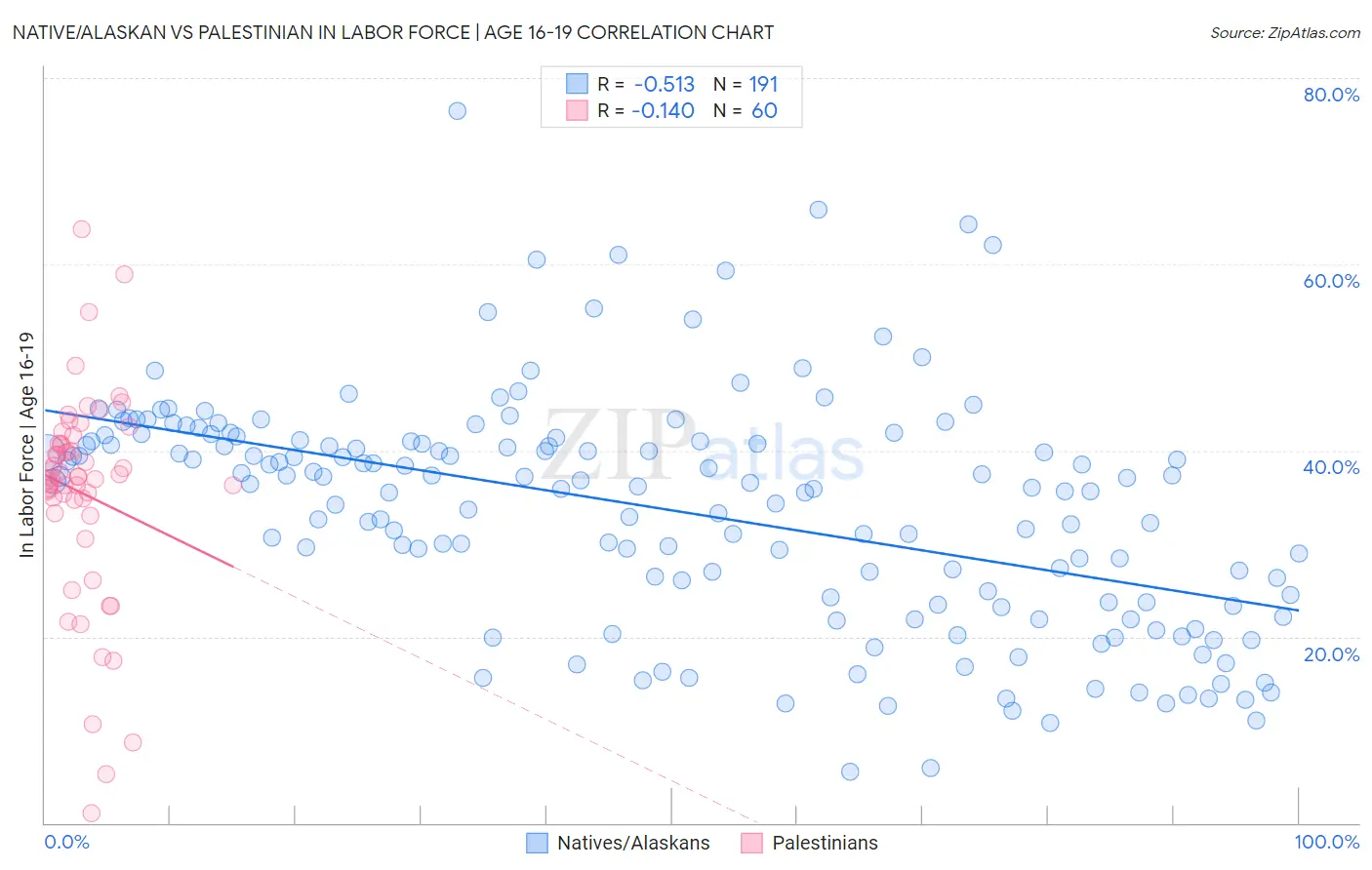 Native/Alaskan vs Palestinian In Labor Force | Age 16-19