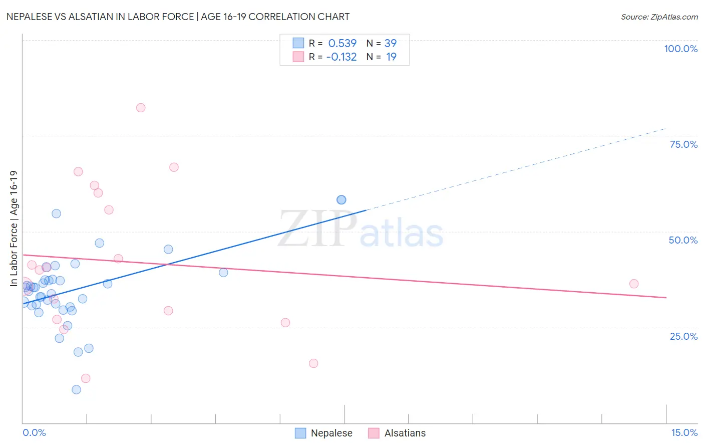 Nepalese vs Alsatian In Labor Force | Age 16-19
