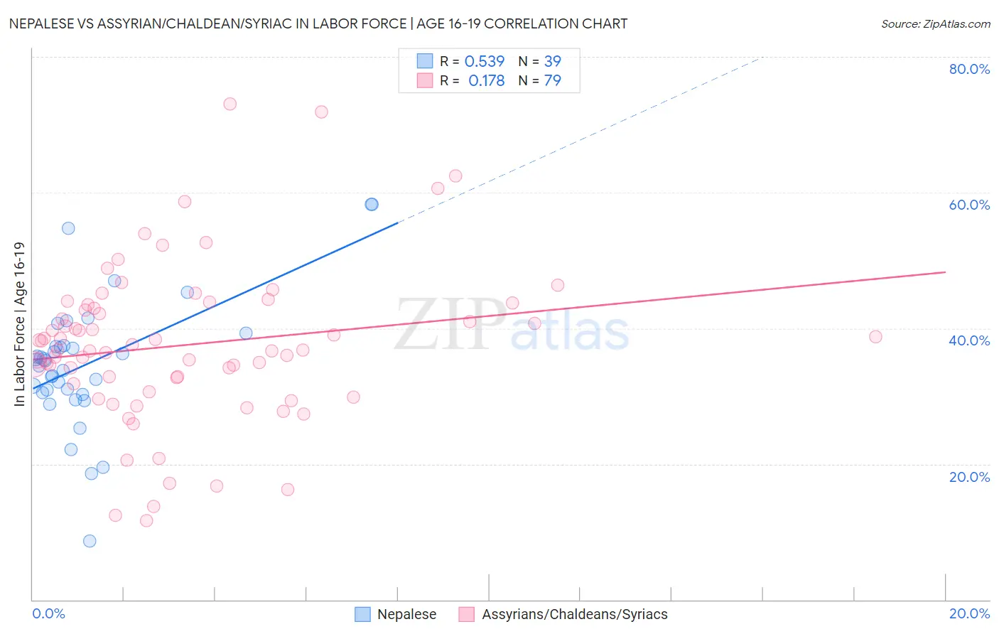 Nepalese vs Assyrian/Chaldean/Syriac In Labor Force | Age 16-19
