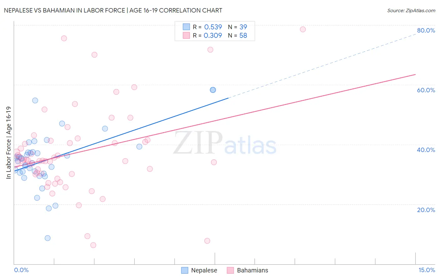 Nepalese vs Bahamian In Labor Force | Age 16-19