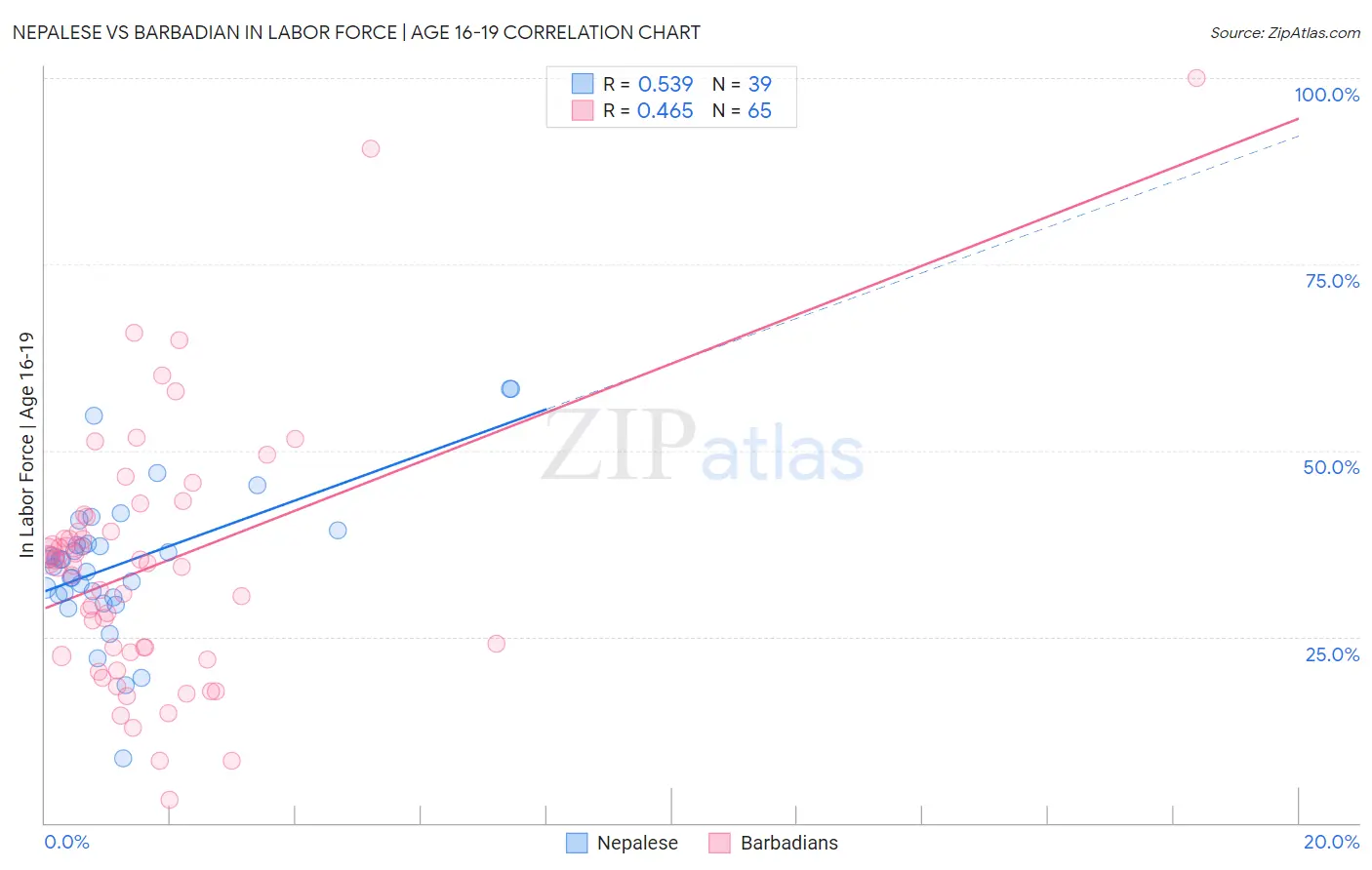 Nepalese vs Barbadian In Labor Force | Age 16-19