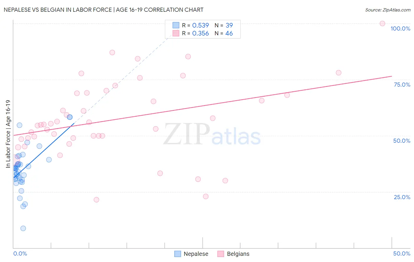 Nepalese vs Belgian In Labor Force | Age 16-19