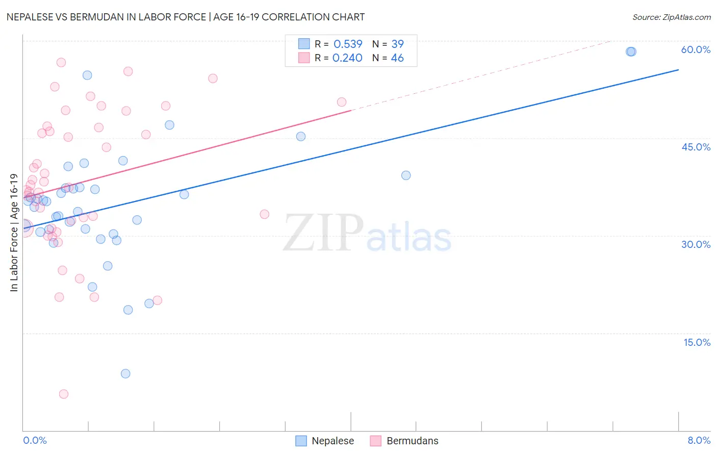 Nepalese vs Bermudan In Labor Force | Age 16-19