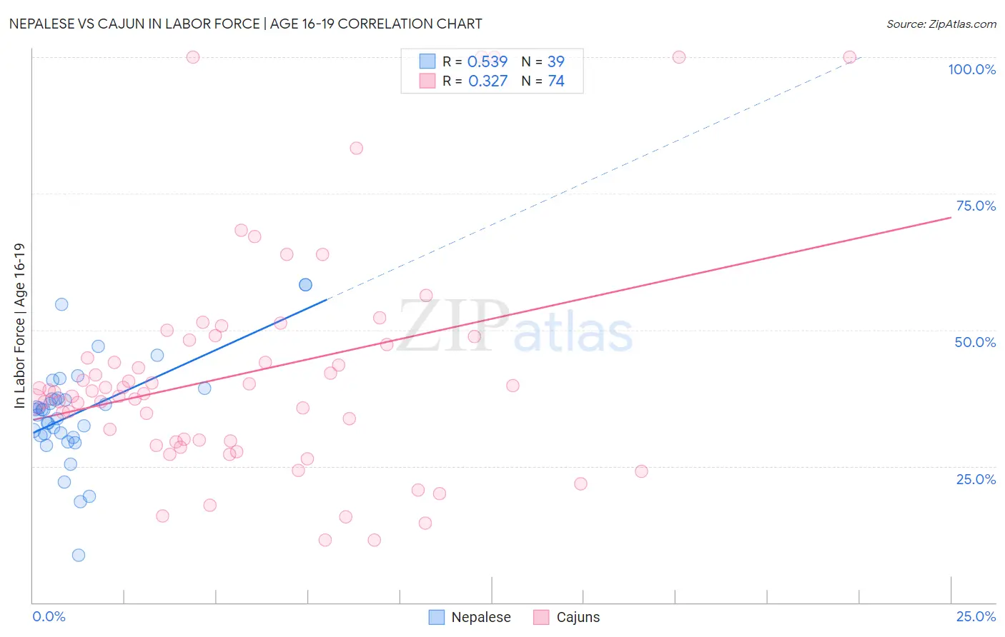 Nepalese vs Cajun In Labor Force | Age 16-19