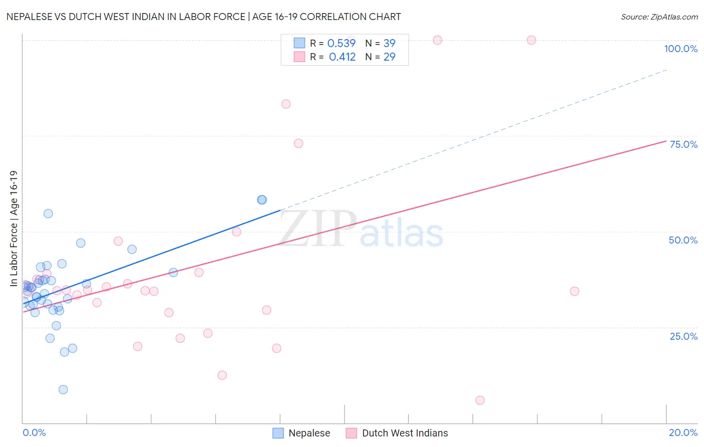 Nepalese vs Dutch West Indian In Labor Force | Age 16-19