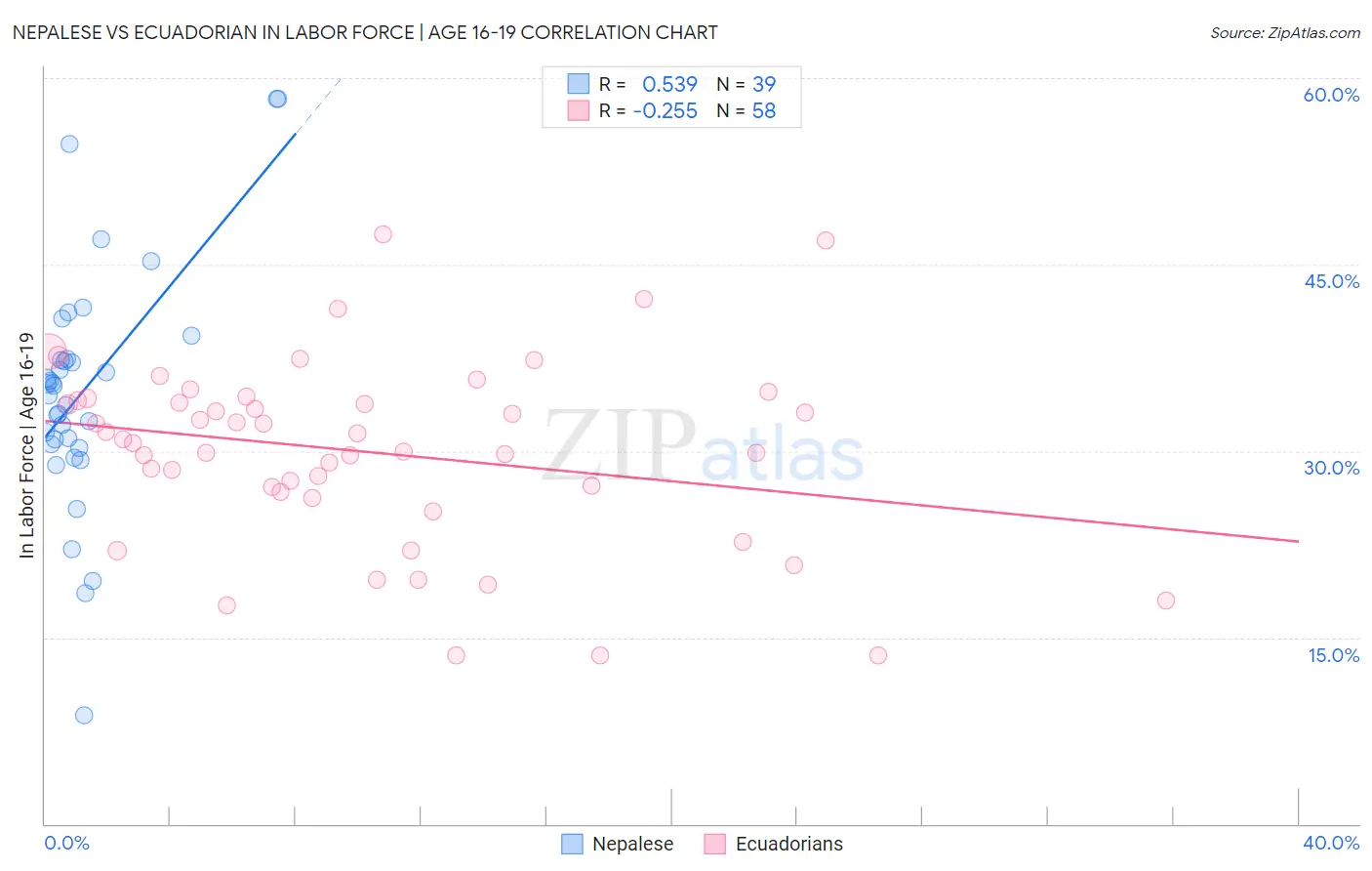 Nepalese vs Ecuadorian In Labor Force | Age 16-19