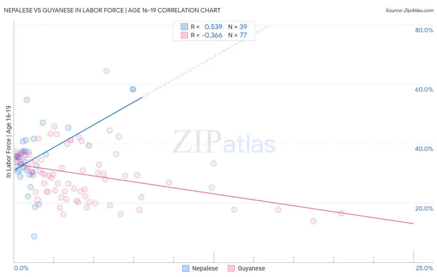 Nepalese vs Guyanese In Labor Force | Age 16-19