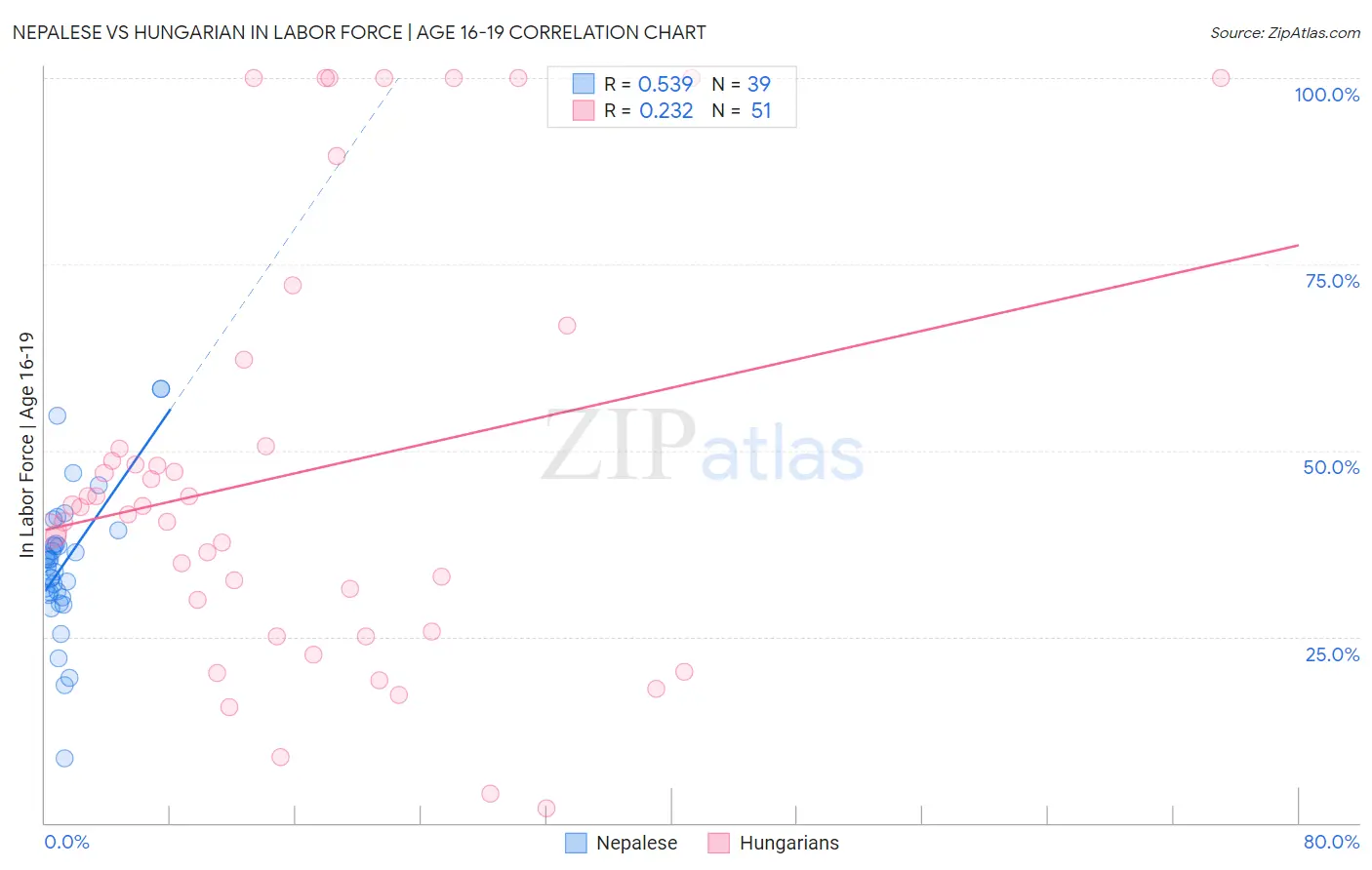 Nepalese vs Hungarian In Labor Force | Age 16-19