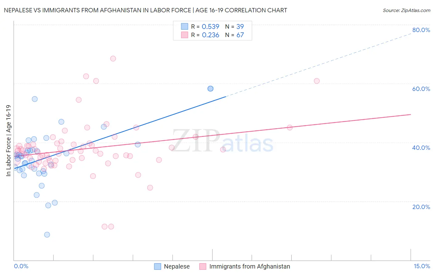 Nepalese vs Immigrants from Afghanistan In Labor Force | Age 16-19