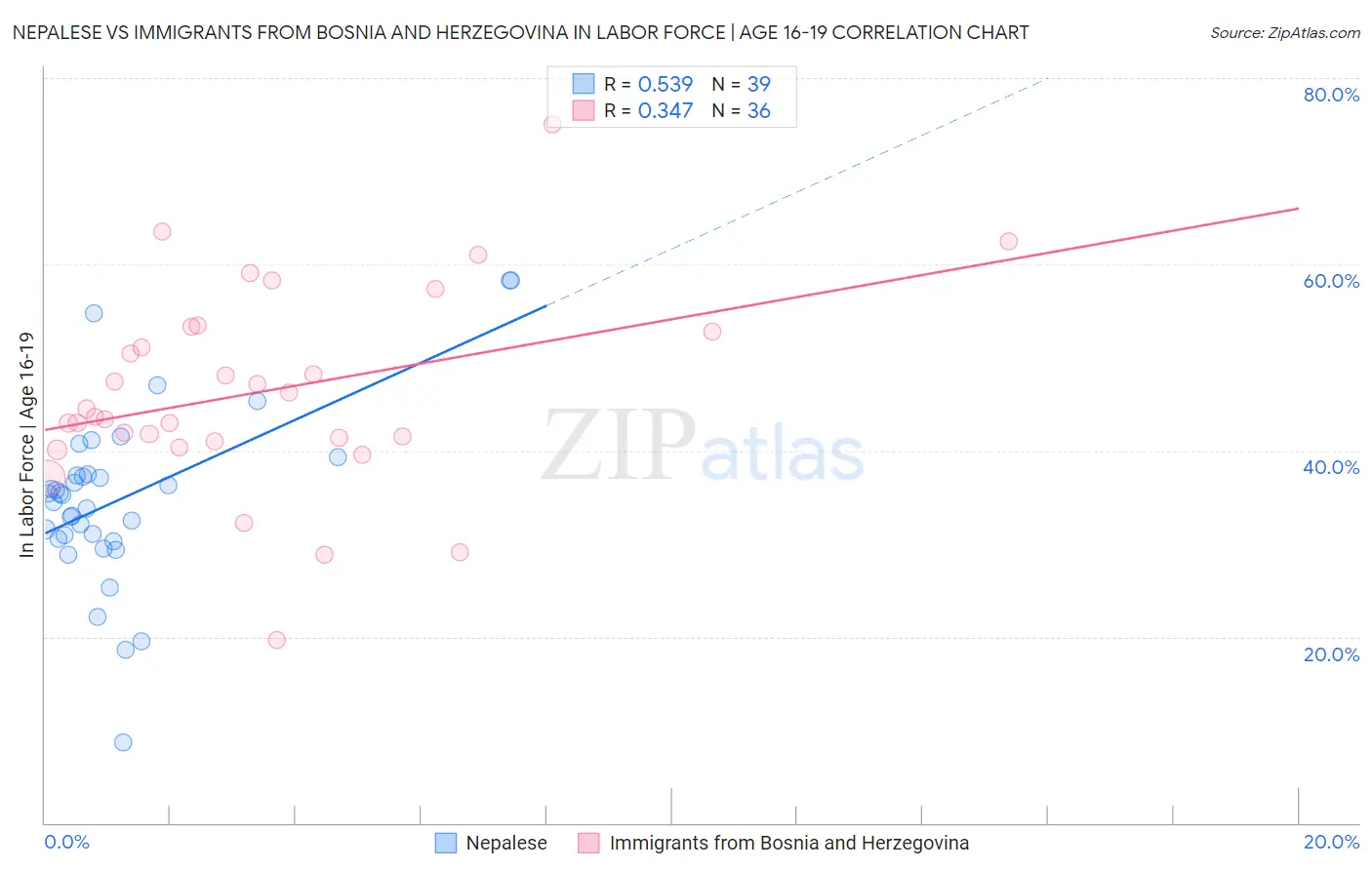 Nepalese vs Immigrants from Bosnia and Herzegovina In Labor Force | Age 16-19