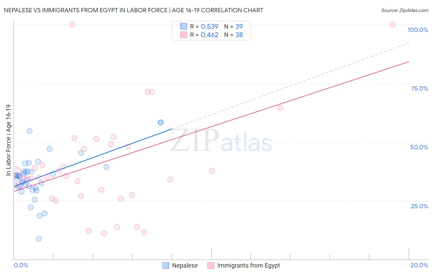 Nepalese vs Immigrants from Egypt In Labor Force | Age 16-19