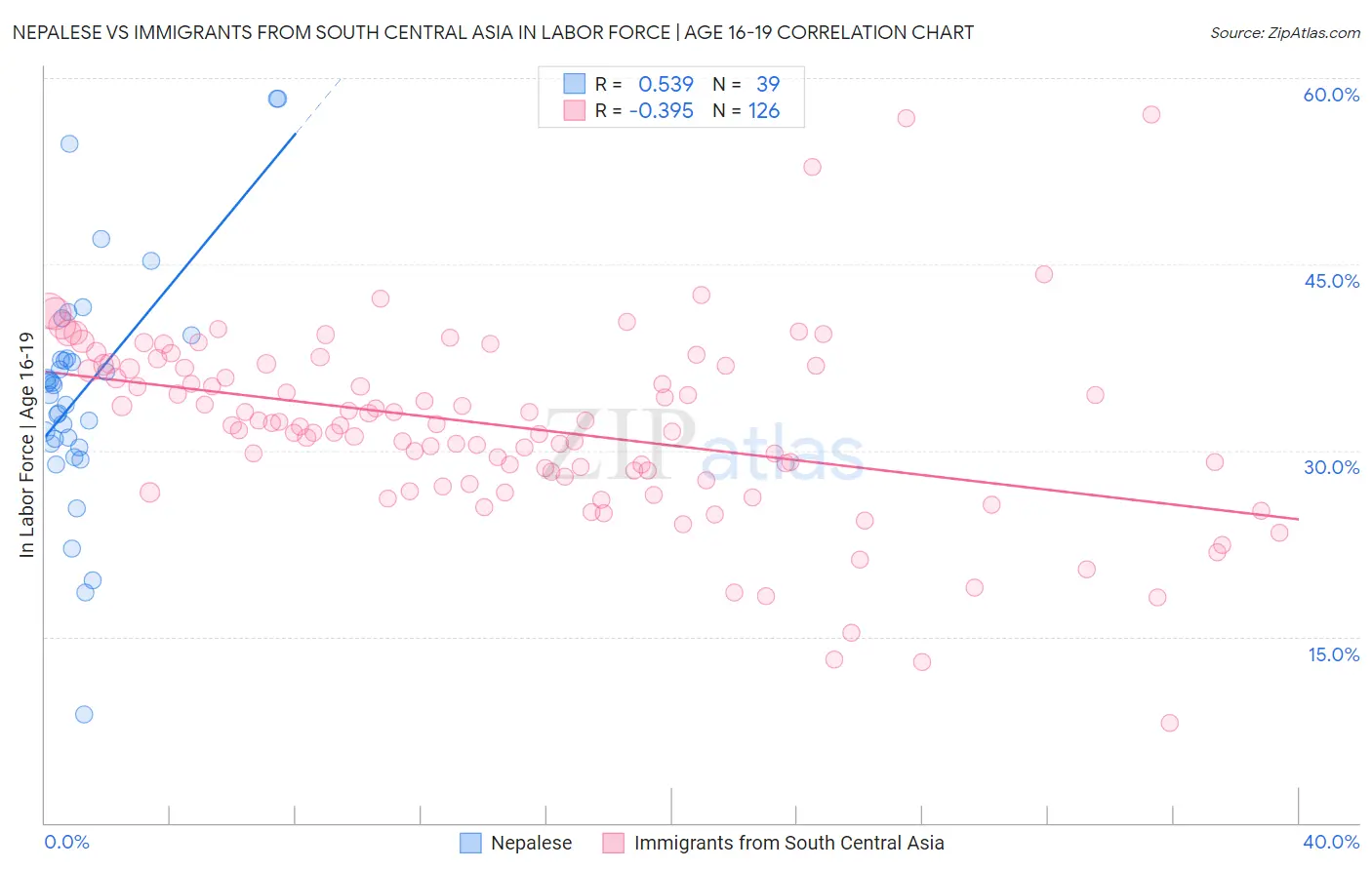 Nepalese vs Immigrants from South Central Asia In Labor Force | Age 16-19