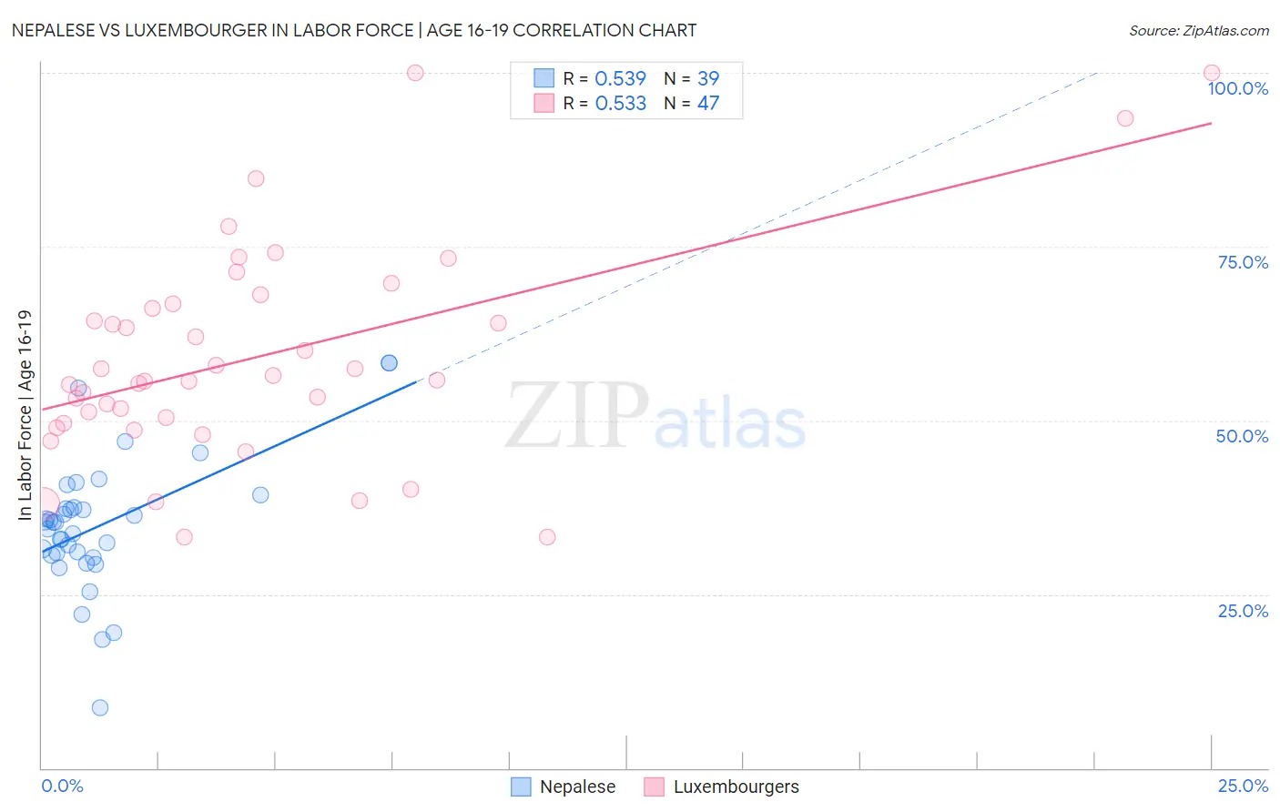 Nepalese vs Luxembourger In Labor Force | Age 16-19