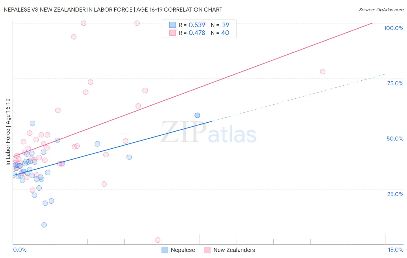 Nepalese vs New Zealander In Labor Force | Age 16-19