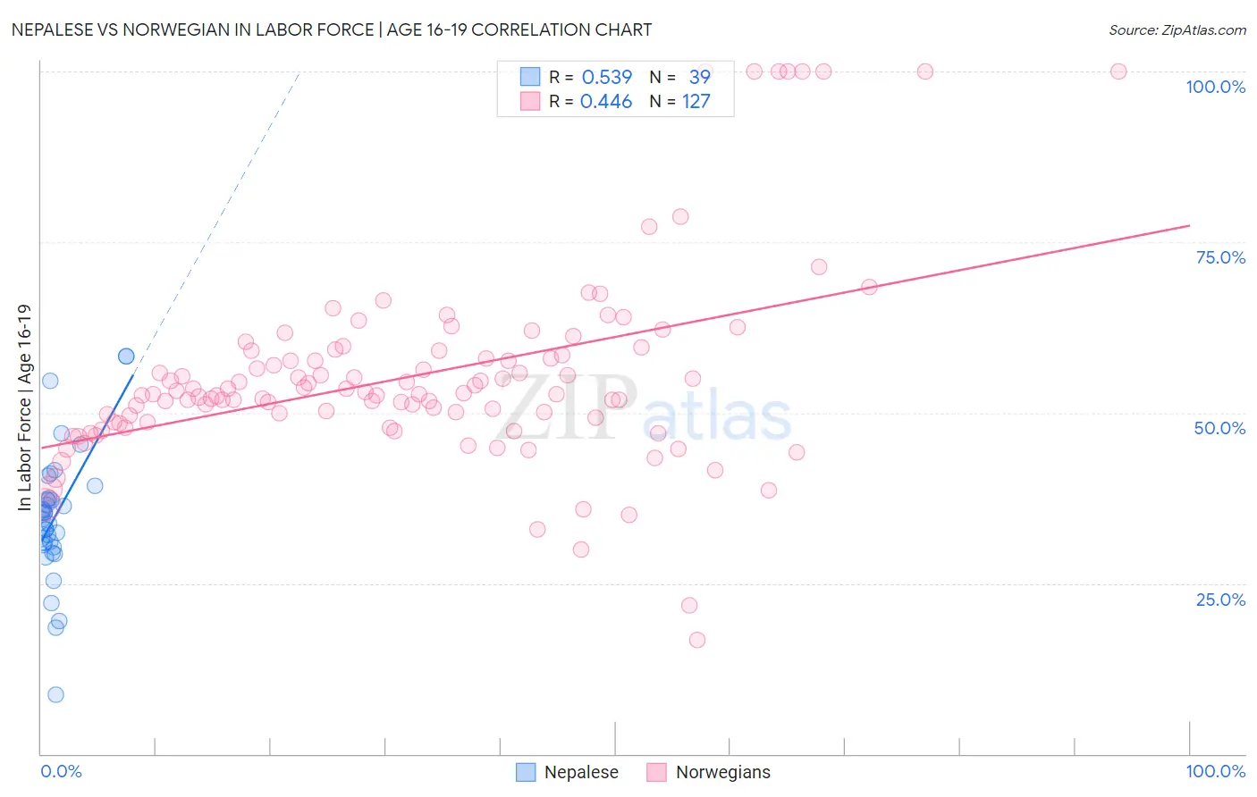 Nepalese vs Norwegian In Labor Force | Age 16-19