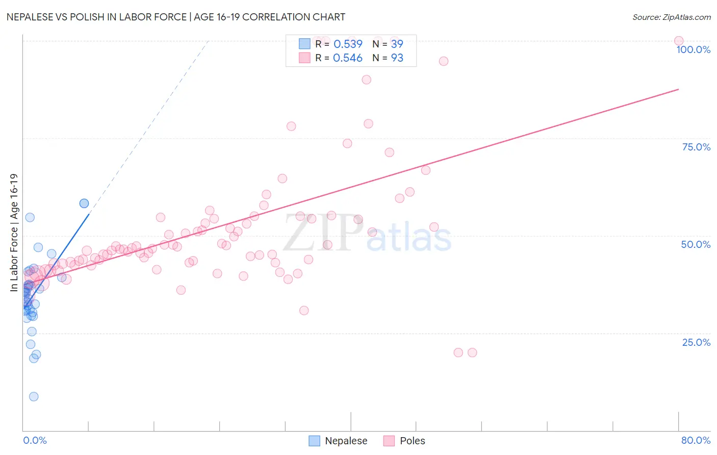 Nepalese vs Polish In Labor Force | Age 16-19