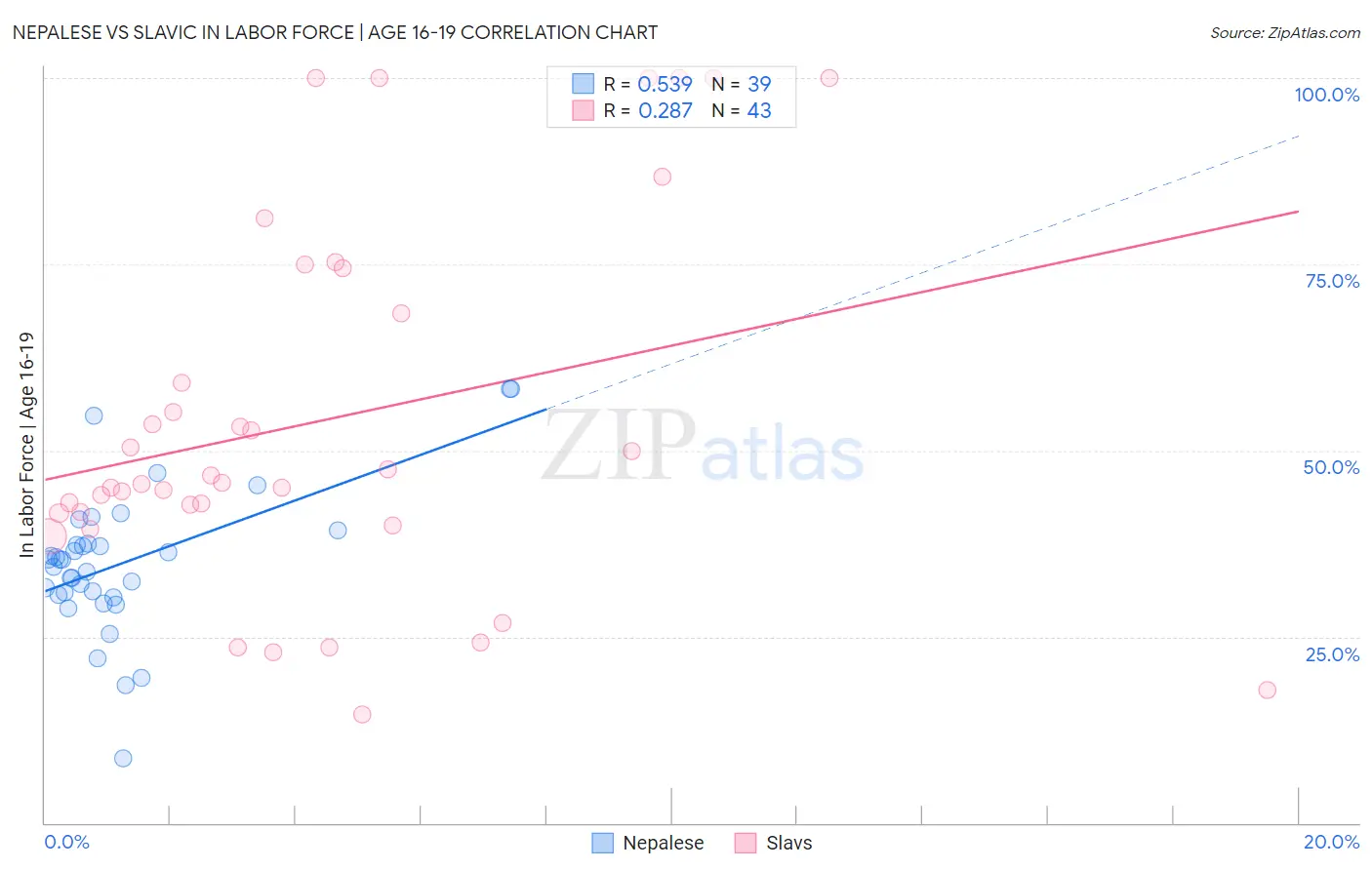 Nepalese vs Slavic In Labor Force | Age 16-19