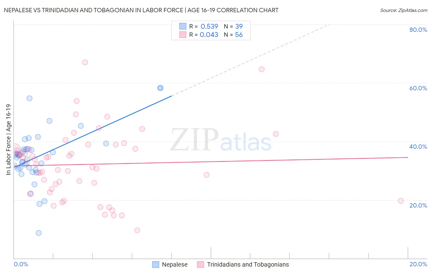 Nepalese vs Trinidadian and Tobagonian In Labor Force | Age 16-19