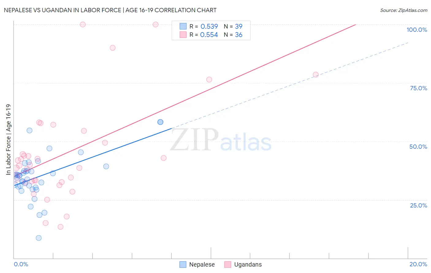 Nepalese vs Ugandan In Labor Force | Age 16-19