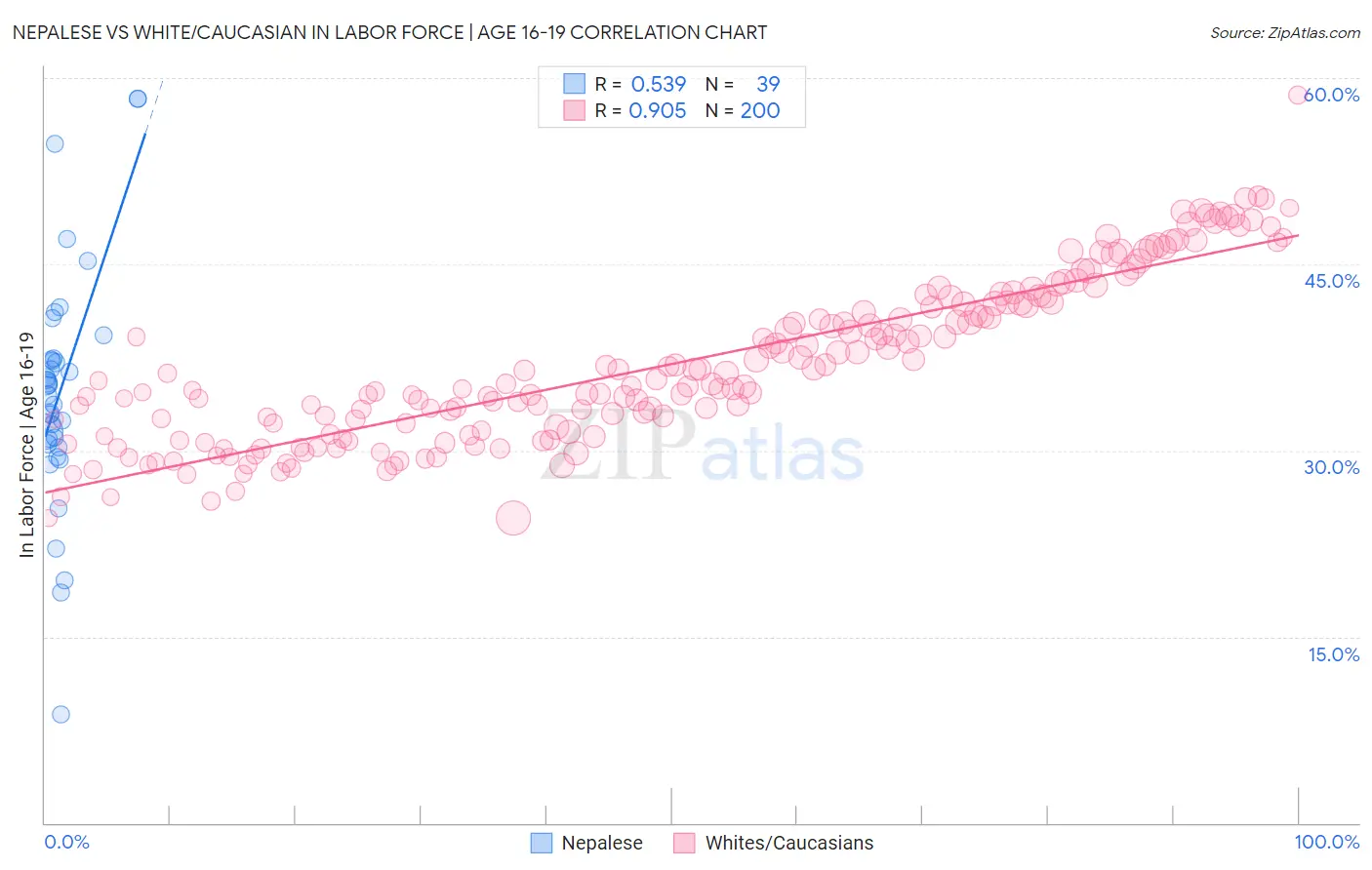 Nepalese vs White/Caucasian In Labor Force | Age 16-19