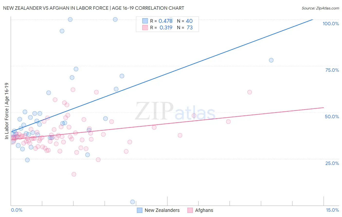 New Zealander vs Afghan In Labor Force | Age 16-19