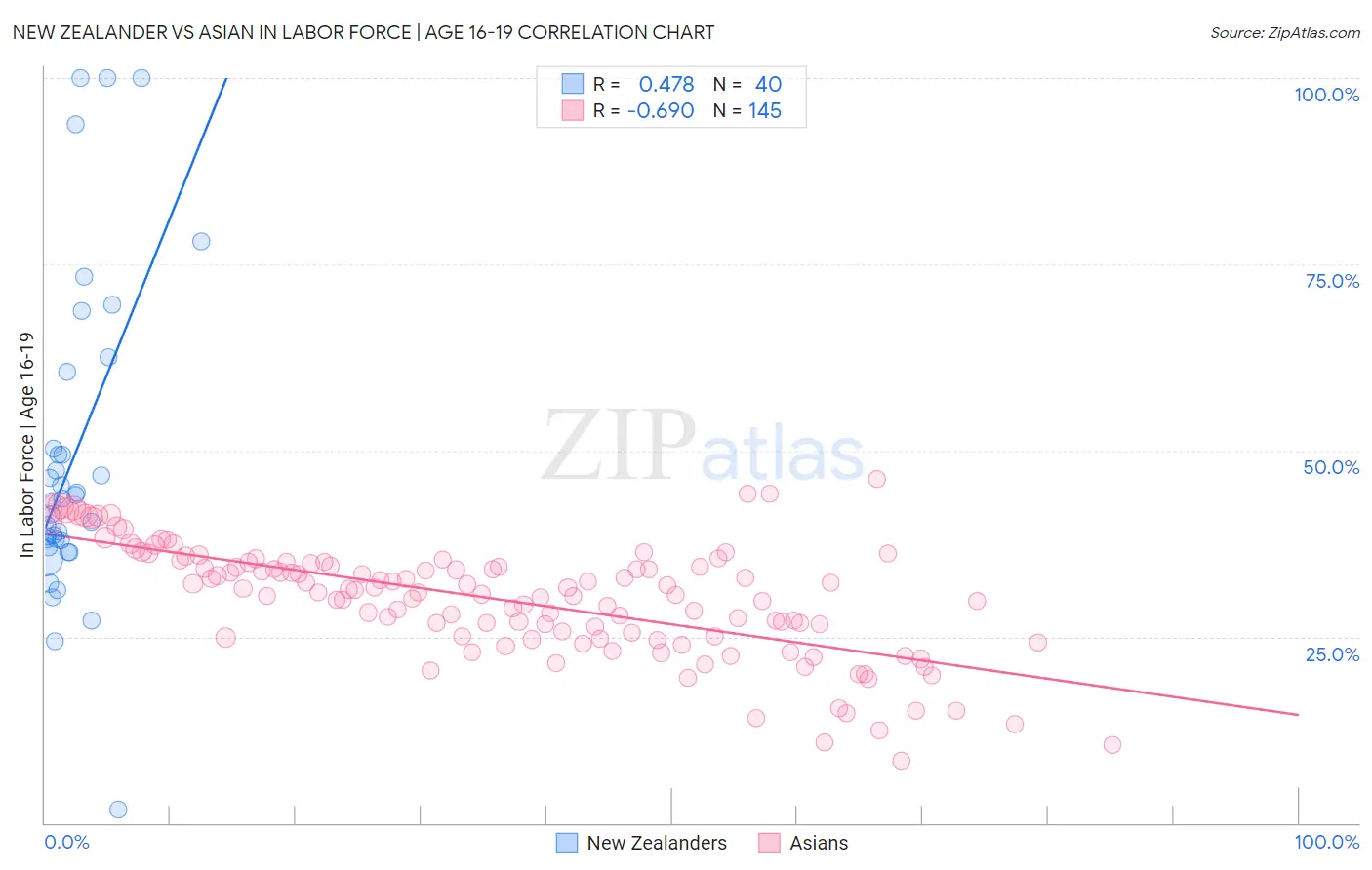 New Zealander vs Asian In Labor Force | Age 16-19