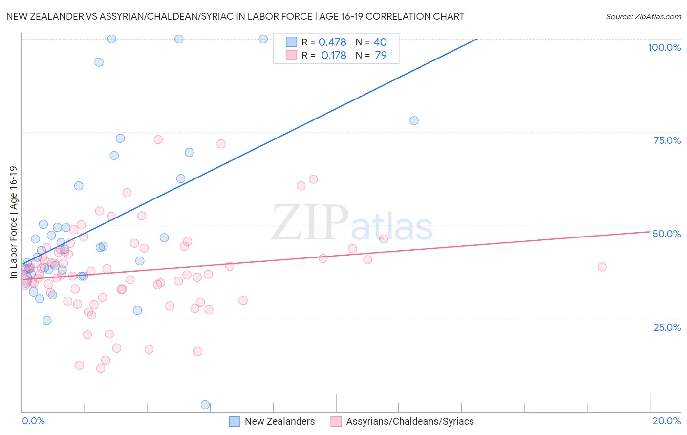 New Zealander vs Assyrian/Chaldean/Syriac In Labor Force | Age 16-19