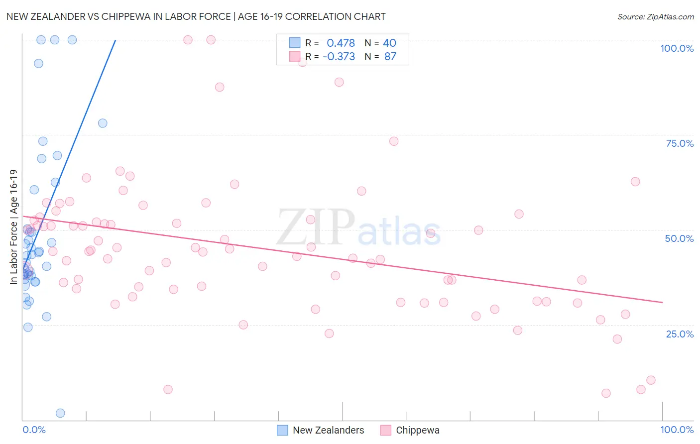 New Zealander vs Chippewa In Labor Force | Age 16-19