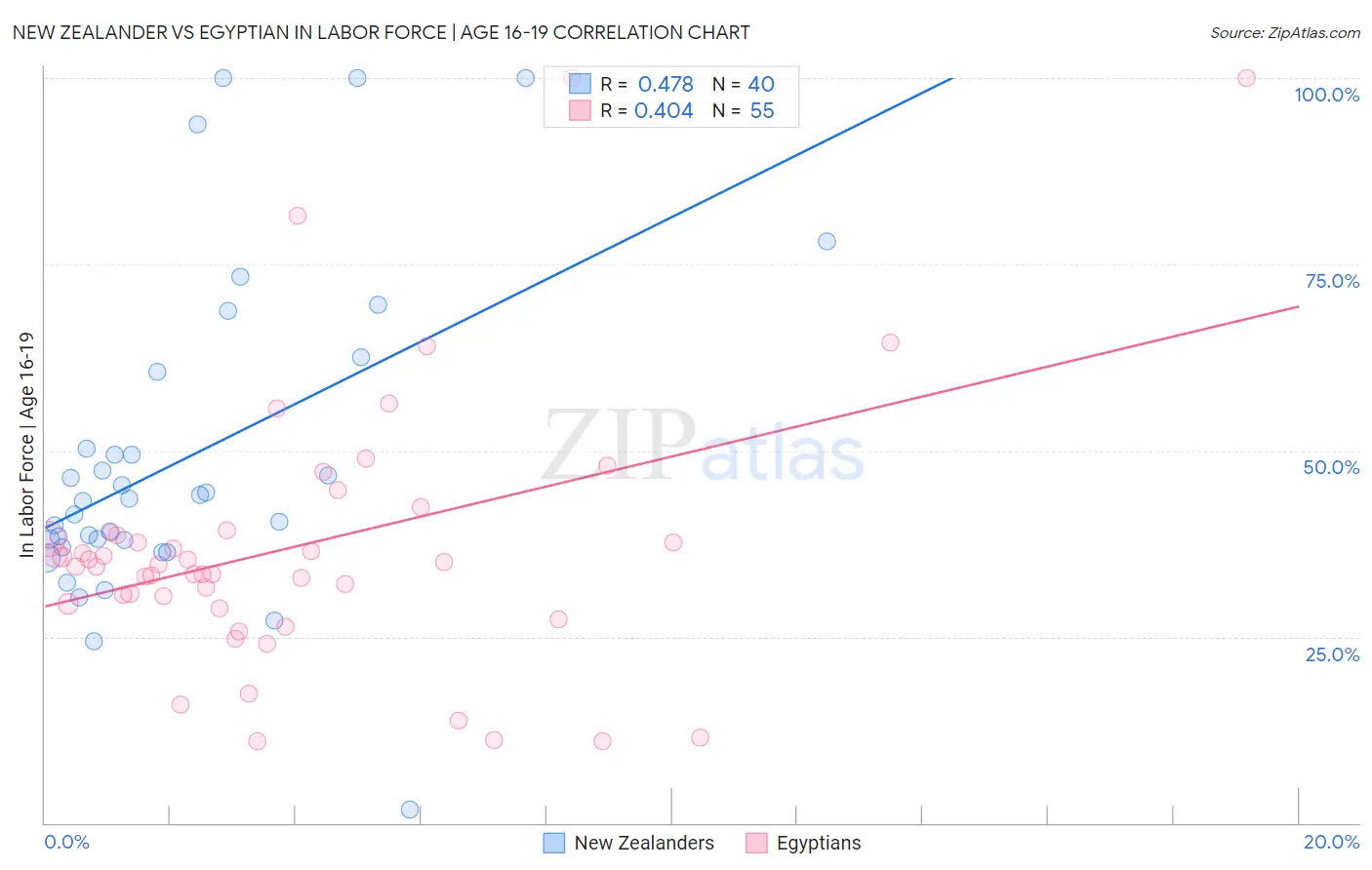 New Zealander vs Egyptian In Labor Force | Age 16-19