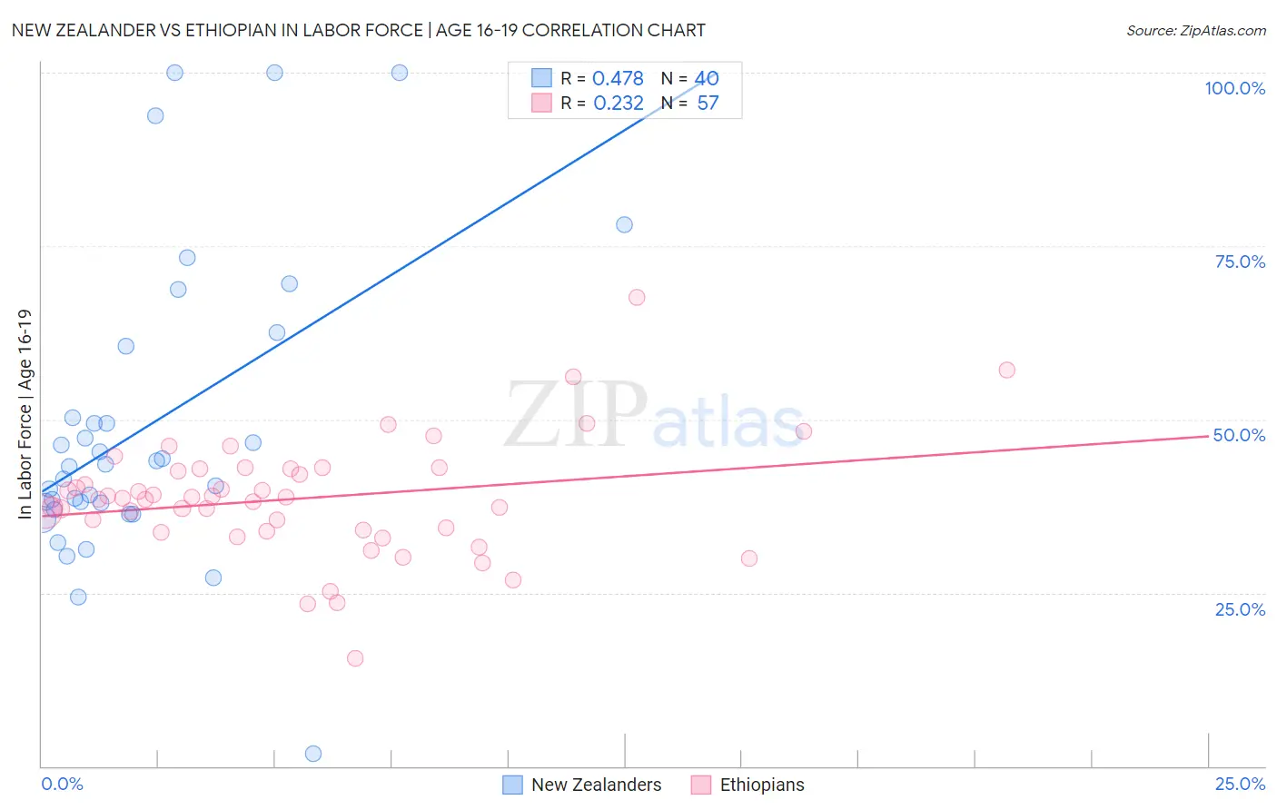 New Zealander vs Ethiopian In Labor Force | Age 16-19