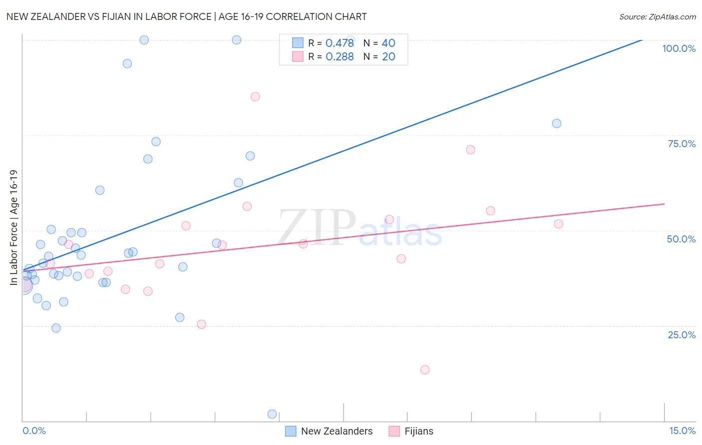 New Zealander vs Fijian In Labor Force | Age 16-19