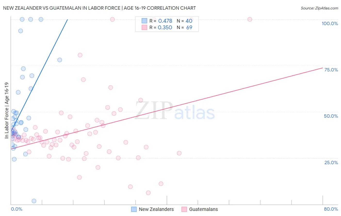 New Zealander vs Guatemalan In Labor Force | Age 16-19