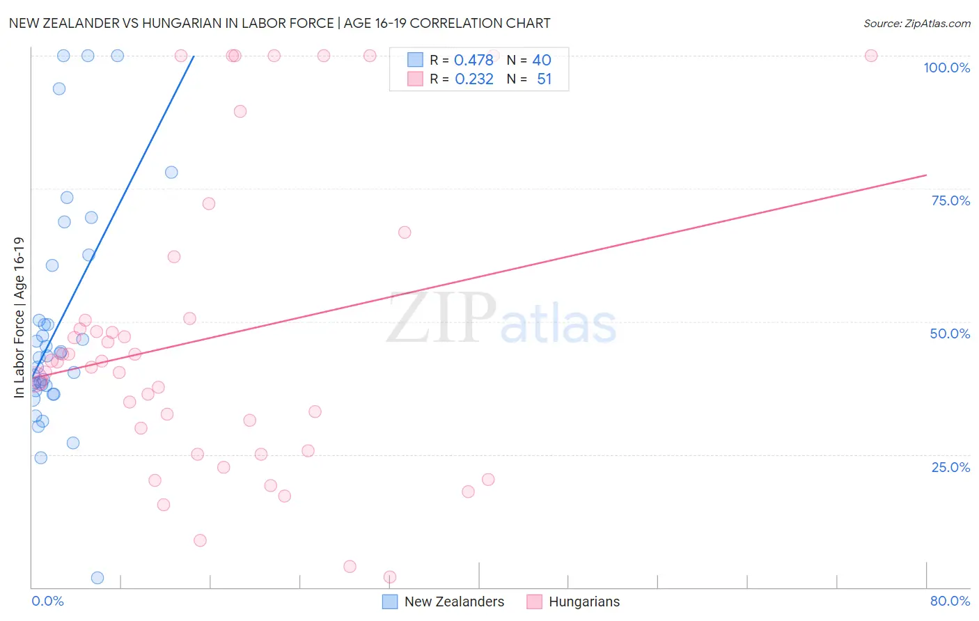 New Zealander vs Hungarian In Labor Force | Age 16-19